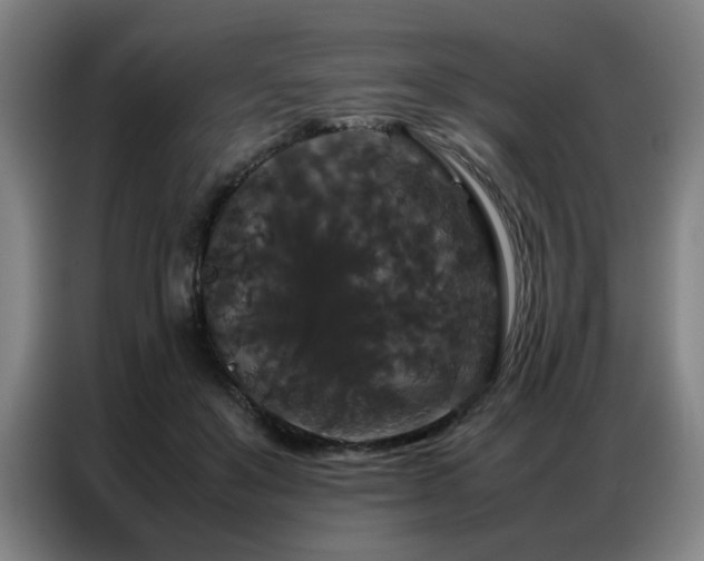 X0000087320503200704201113