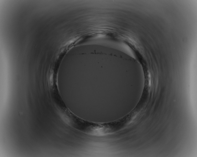 X0000087320504200704201113
