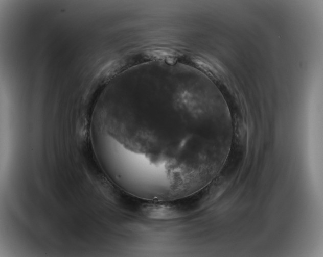 X0000087320507200704201113
