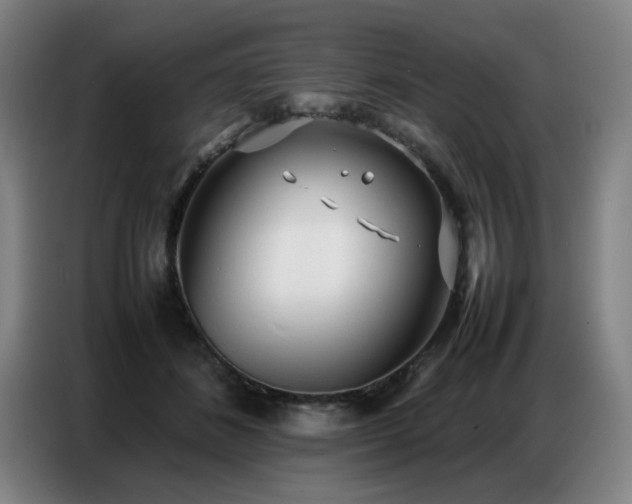 X0000087320508200704201113