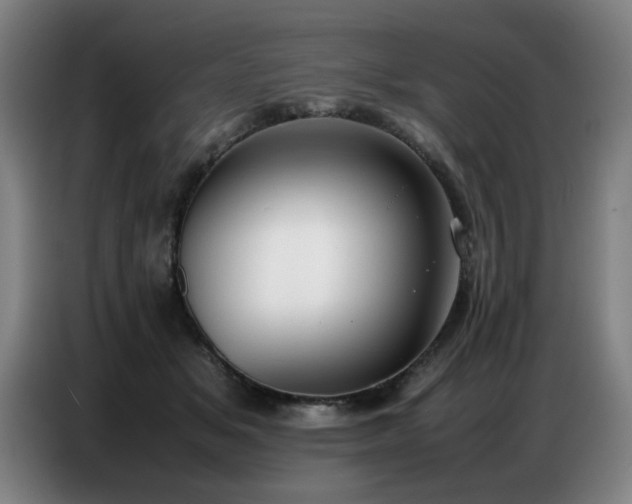 X0000087320509200704201113