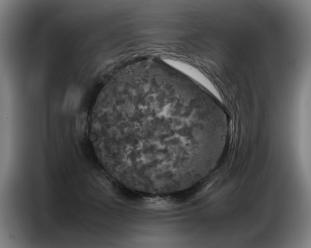 X0000087320511200704201112