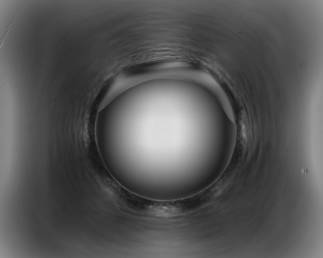 X0000087320512200704201112