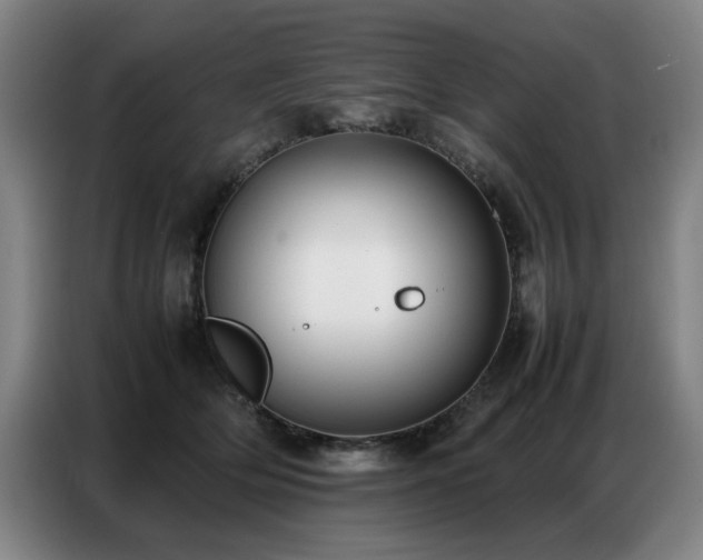 X0000087320514200704201112