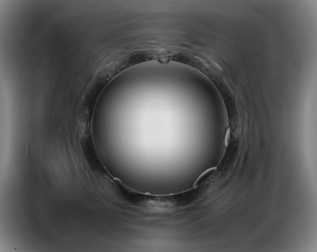 X0000087320515200704201112