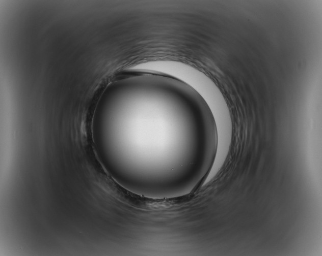 X0000087320516200704201112