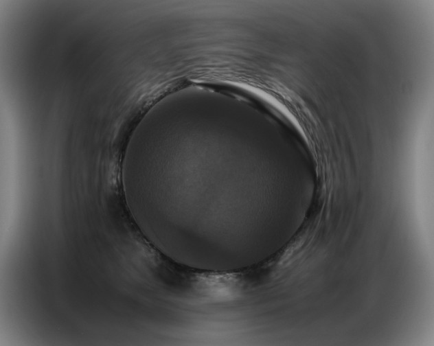 X0000087320517200704201112