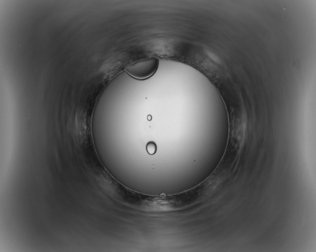 X0000087320518200704201112