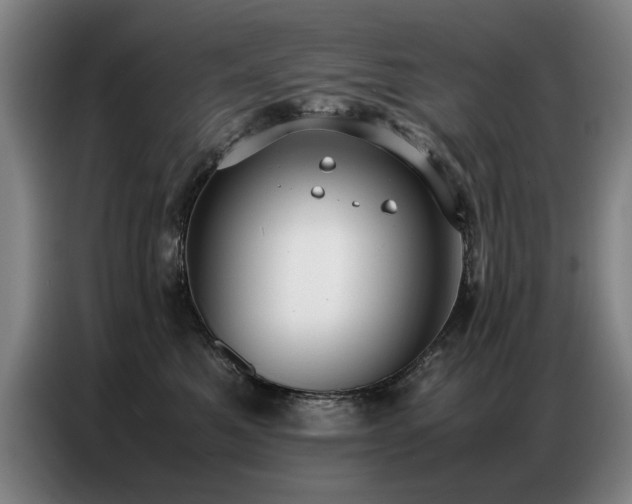 X0000087320521200704201112