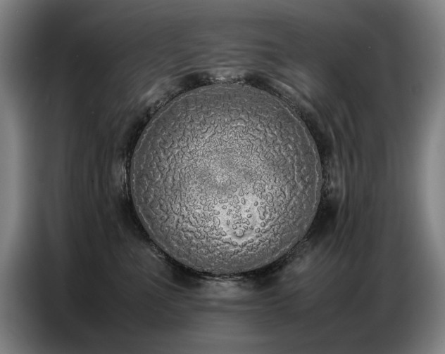 X0000087320523200704201112