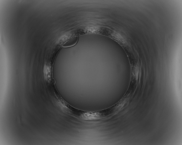 X0000087320526200704201112