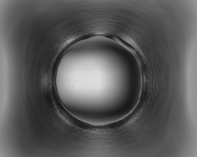 X0000087320530200704201112