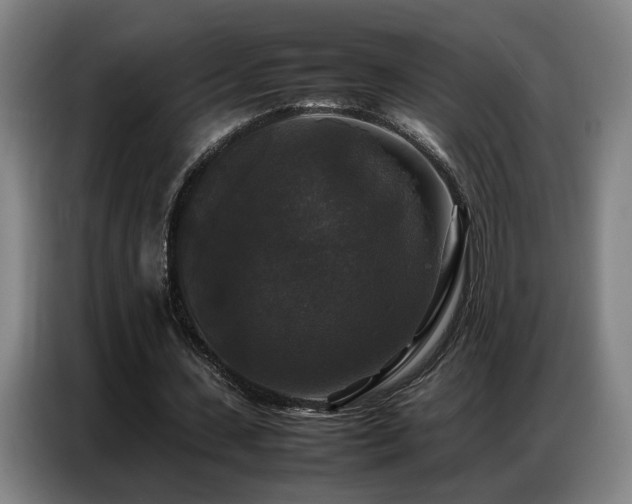 X0000087320531200704201112