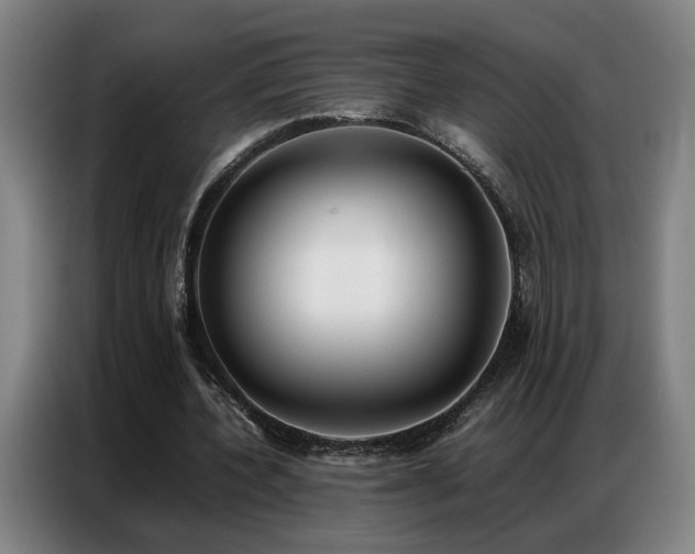 X0000087320532200704201112