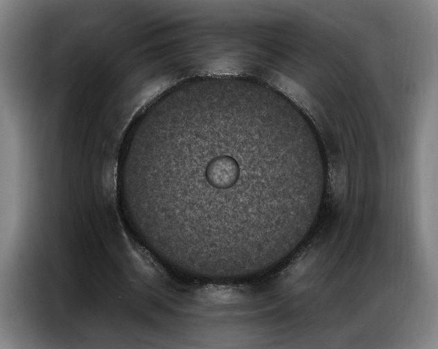 X0000087320534200704201112