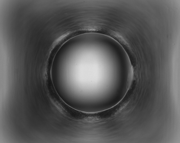 X0000087320536200704201112