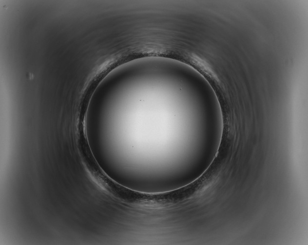 X0000087320538200704201112