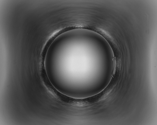 X0000087320540200704201112