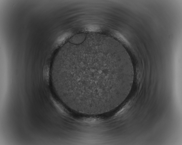 X0000087320542200704201112