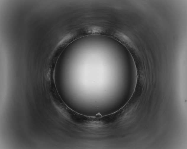 X0000087320543200704201112