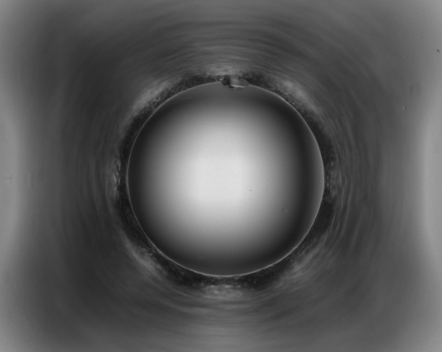 X0000087320544200704201112
