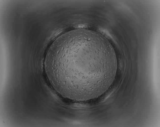 X0000087320545200704201112