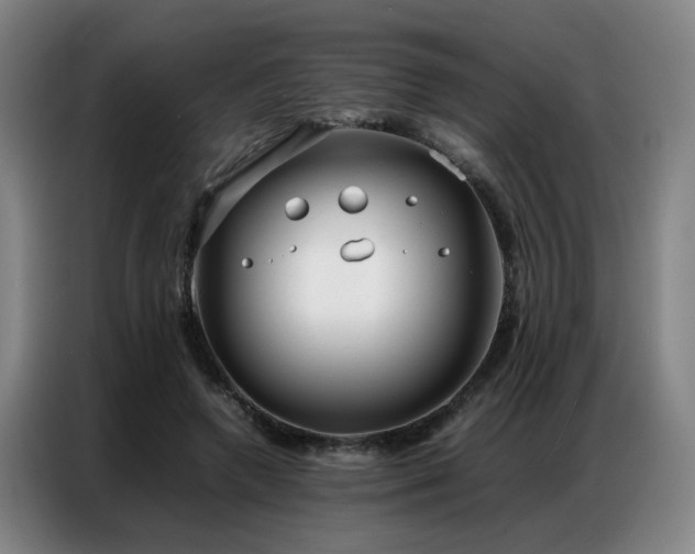 X0000087320546200704201112