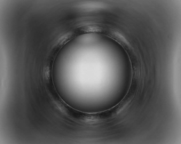 X0000087320549200704201112