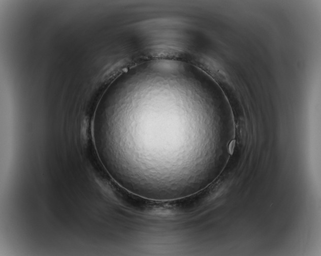 X0000087320550200704201112