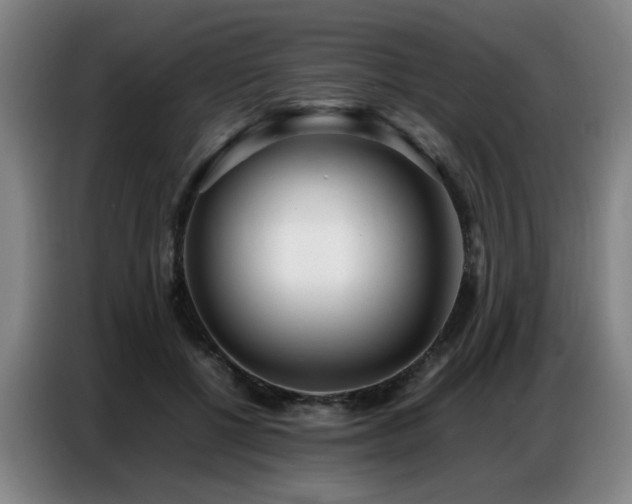 X0000087320552200704201112