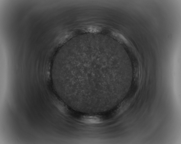 X0000087320553200704201112