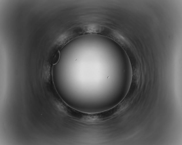X0000087320554200704201112