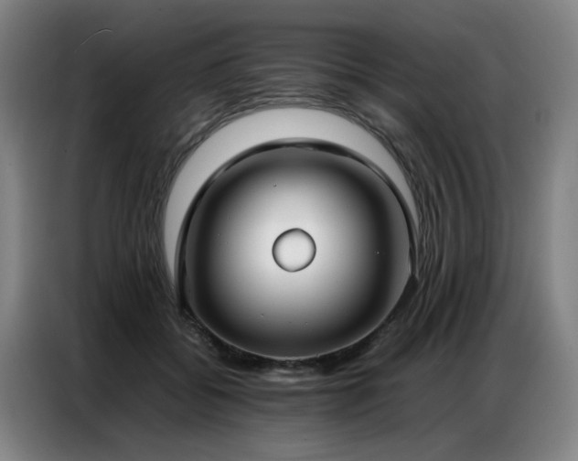 X0000087320556200704201112