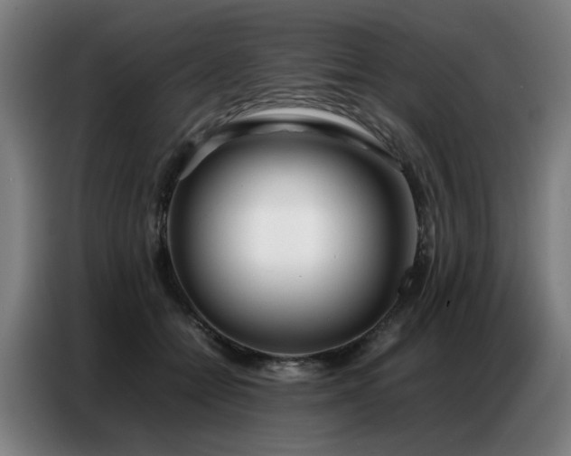 X0000087320558200704201112