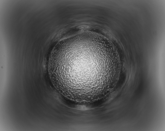 X0000087320561200704201112