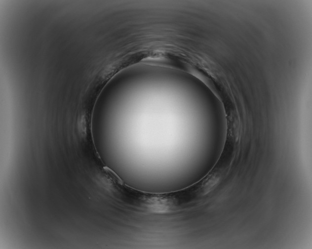 X0000087320562200704201112