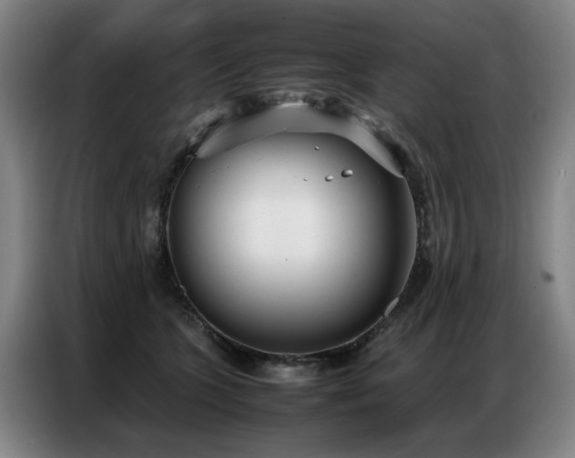 X0000087320563200704201112
