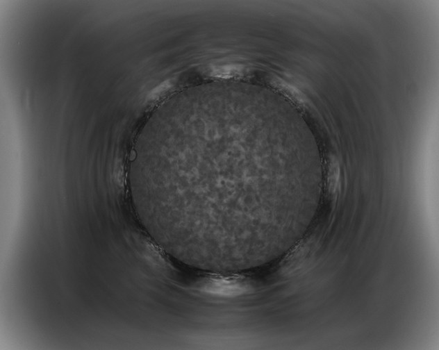 X0000087320569200704201112