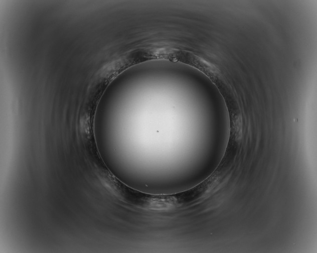 X0000087320571200704201112