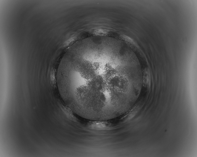 X0000087320573200704201112