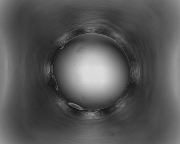 X0000087320574200704201112