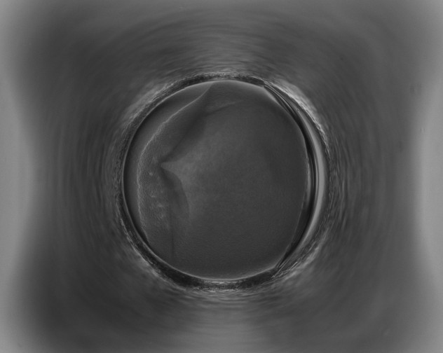 X0000087320577200704201112