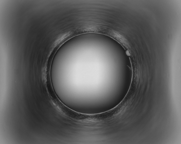 X0000087320578200704201112