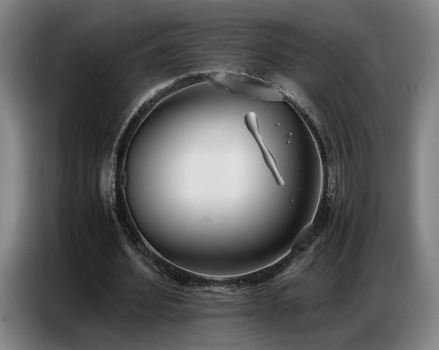 X0000087320580200704201112