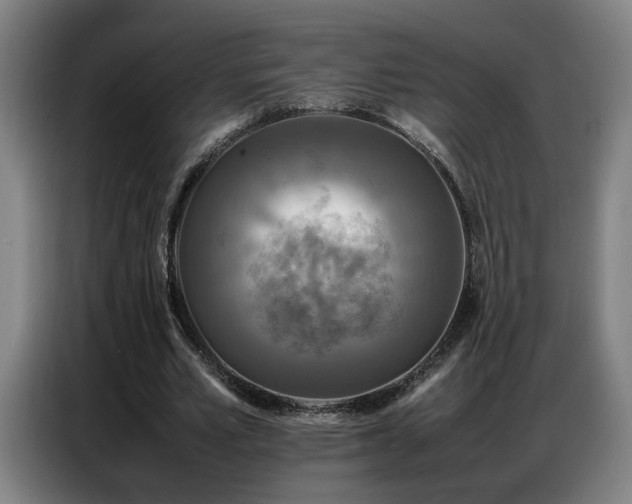 X0000087320581200704201112