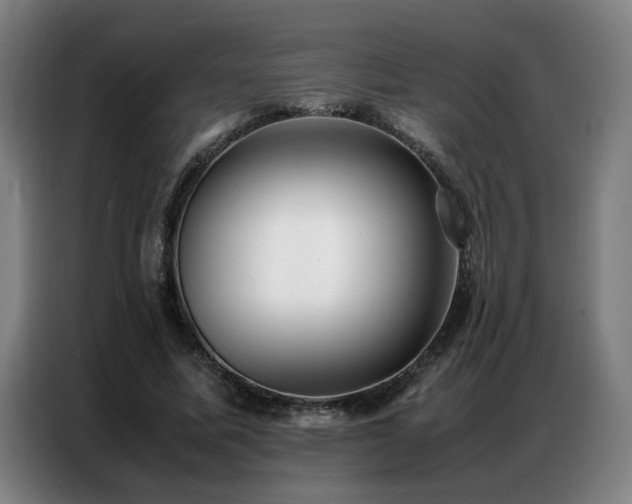 X0000087320587200704201112