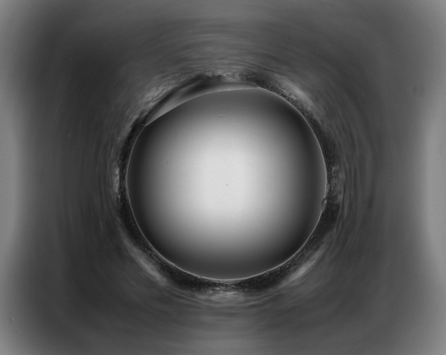 X0000087320589200704201112