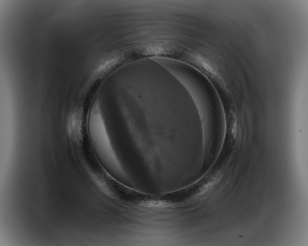 X0000087320590200704201112