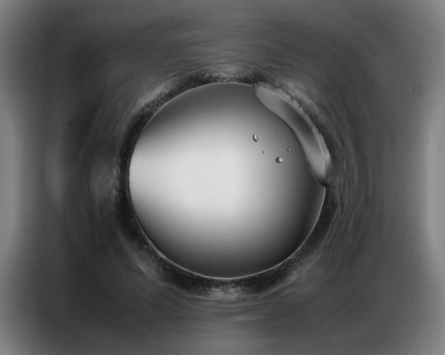 X0000087320591200704201112