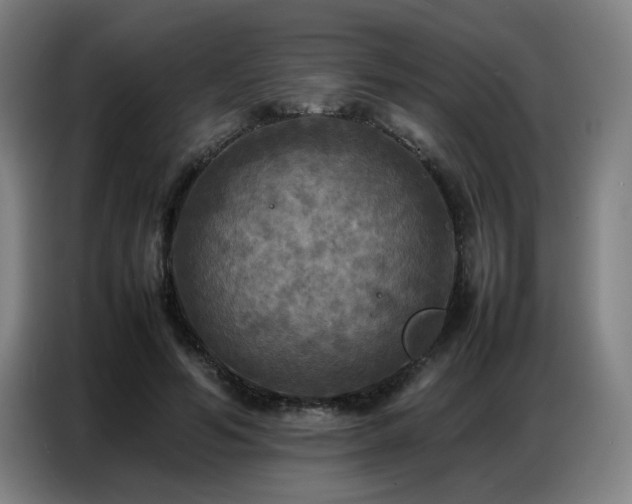 X0000087320594200704201112